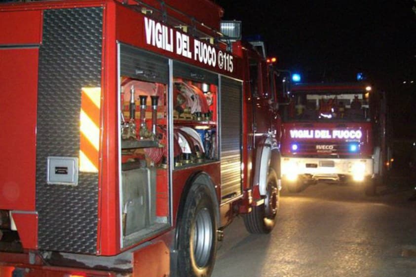Incendia un albero, nei guai un 15enne incastrato dalle telecamere