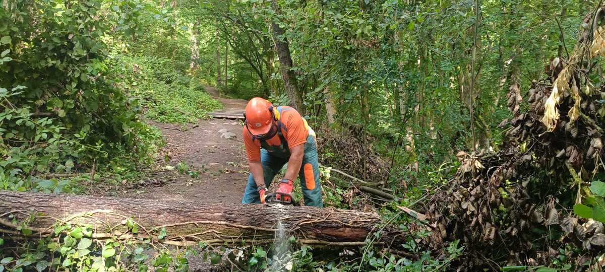 Maltempo, a Biella rami e tronchi d’albero a terra: AIB in campo ai Giardini Arequipa e al Gorgomoro FOTO