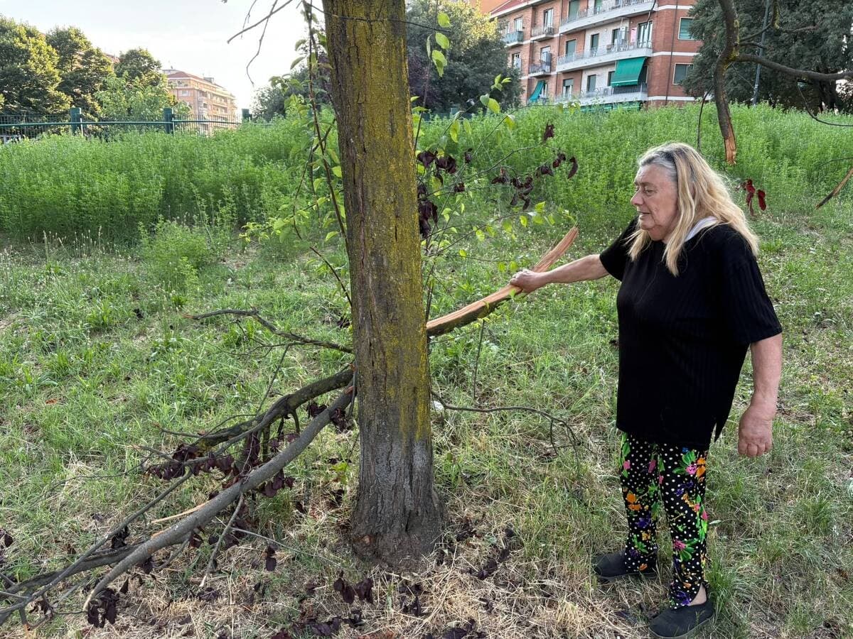 Giardini Maiocco, residenti esasperati: "Tra degrado e vandalismi nessuno fa rispettare le regole"