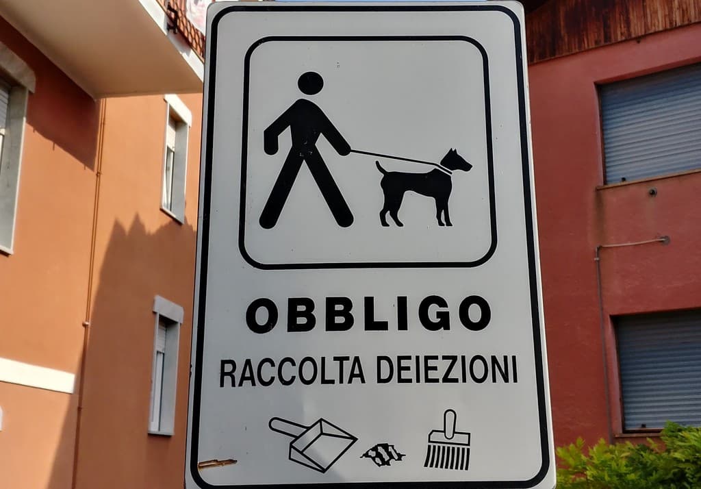 Venasca richiama al rispetto del decoro urbano: ordinanza del sindaco per le deiezioni canine