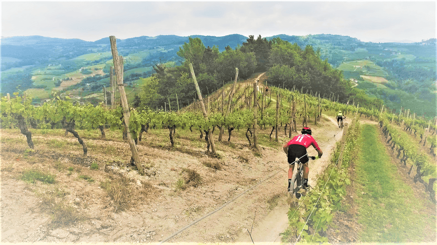 Il Roero fa squadra sull'outdoor: nasce il progetto "Rod" per portare i turisti a vivere le colline delle Sinistra Tanaro