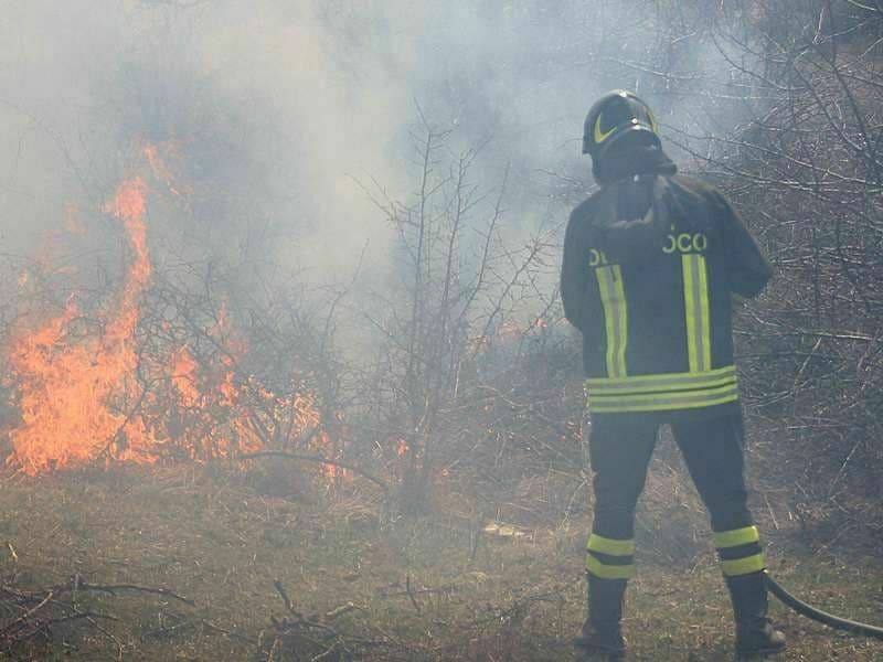 A fuoco una pianta, scatta l’allarme a Occhieppo Superiore