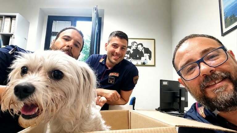 Recuperata in un canale dopo dieci giorni di ricerche, ora Chanel è al sicuro