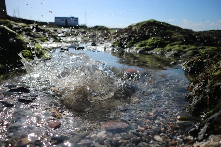 "L’acqua dei nostri fiumi non è un bancomat per bottiglie di plastica e scuse da Medioevo irriguo", la riflessione di Fabrizio Biolè