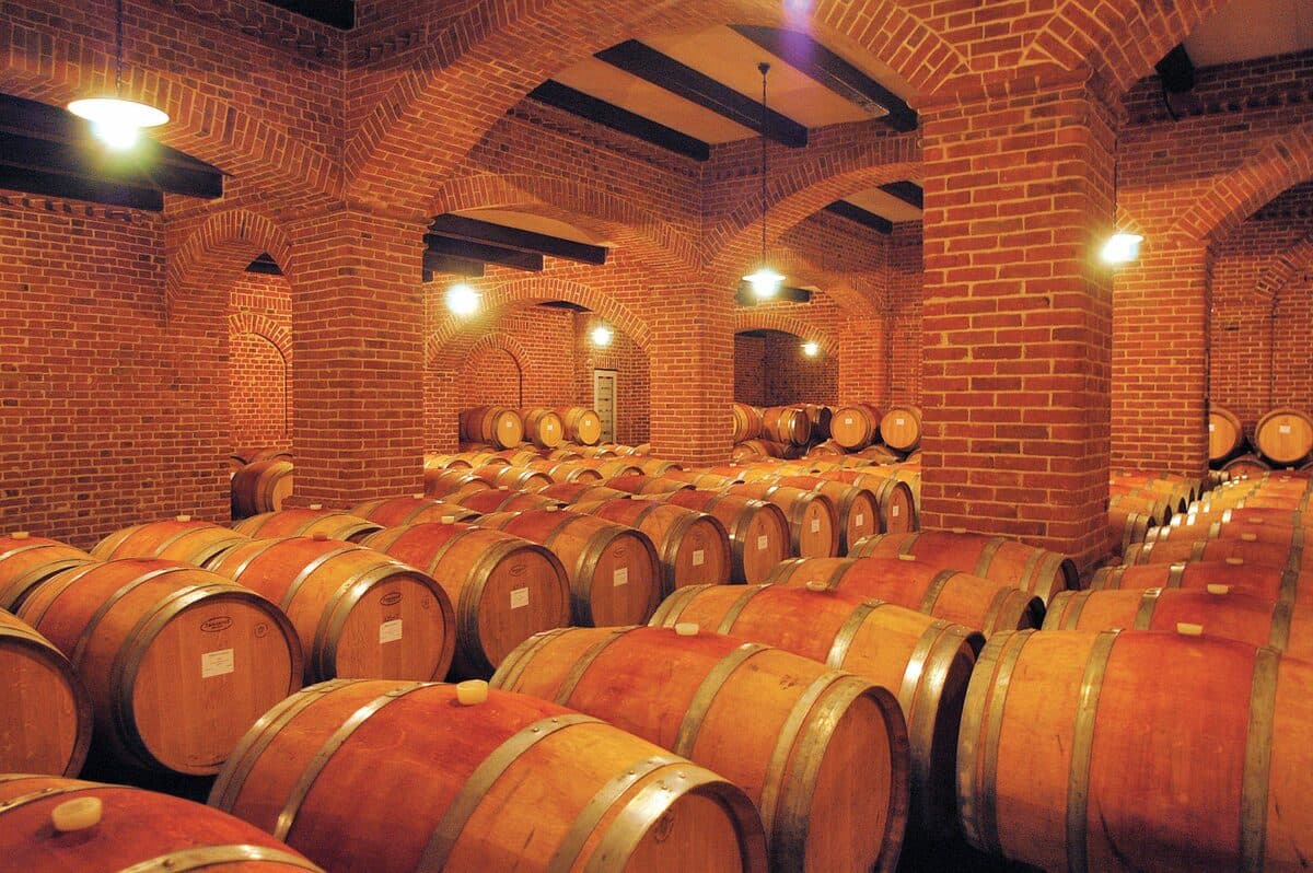 Vino, Confagricoltura Cuneo: “Serve una strategia strutturale per il comparto”