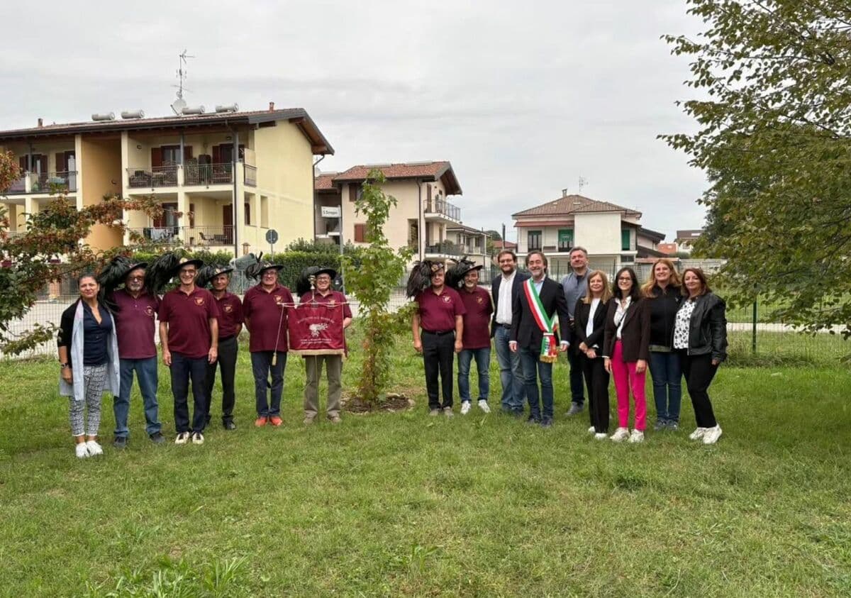 Un albero per unire memoria e futuro: a Bellinzago piantumato un Liquidambar alla scuola dell'infanzia “Deledda”