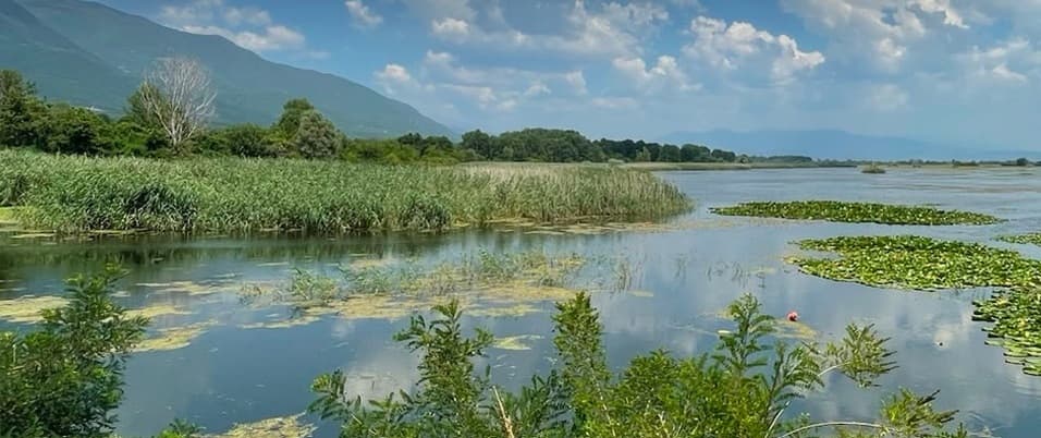 Biodiversità e agricoltura sostenibile: a Racconigi il confronto tra istituzioni, mondo agricolo e territorio