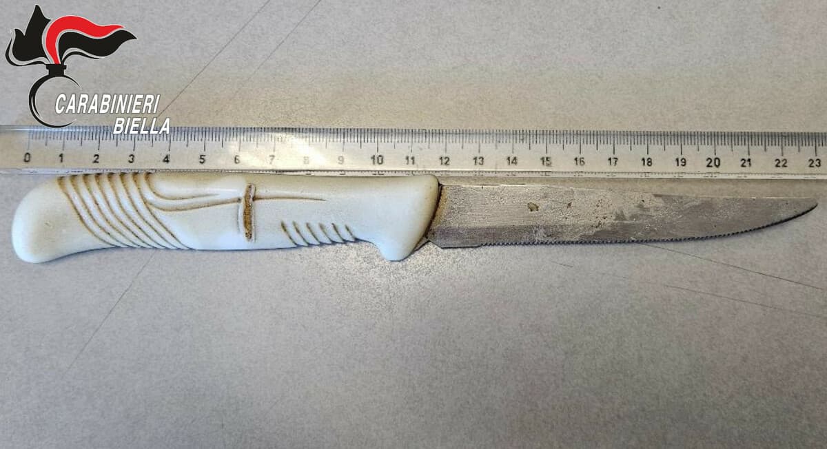 Dal nord ovest. Spaccio nei boschi del Biellese, controlli a mezzi e persone: ci sono denunce e segnalazioni
