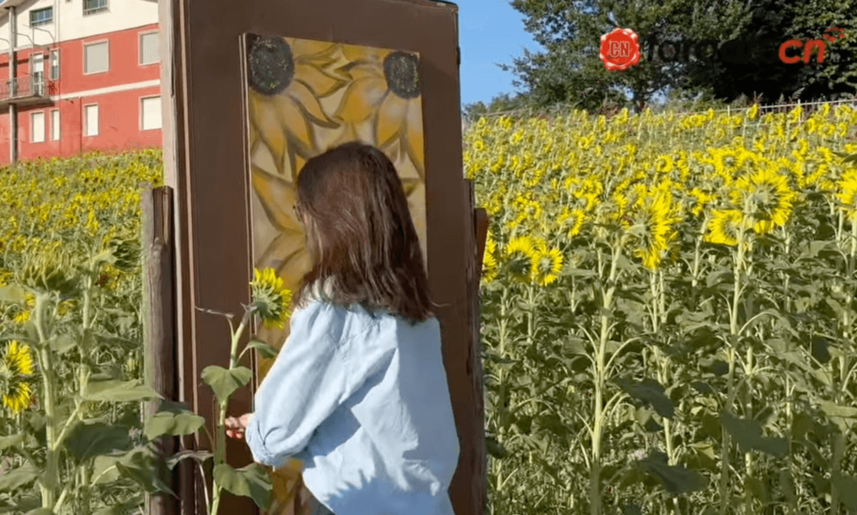 A Farigliano riapre il labirinto di Girasoli 