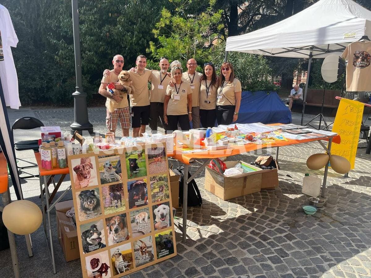 Mercatino Solidale a Biella, iniziative e attività per gli amici a quattro zampe FOTO e VIDEO