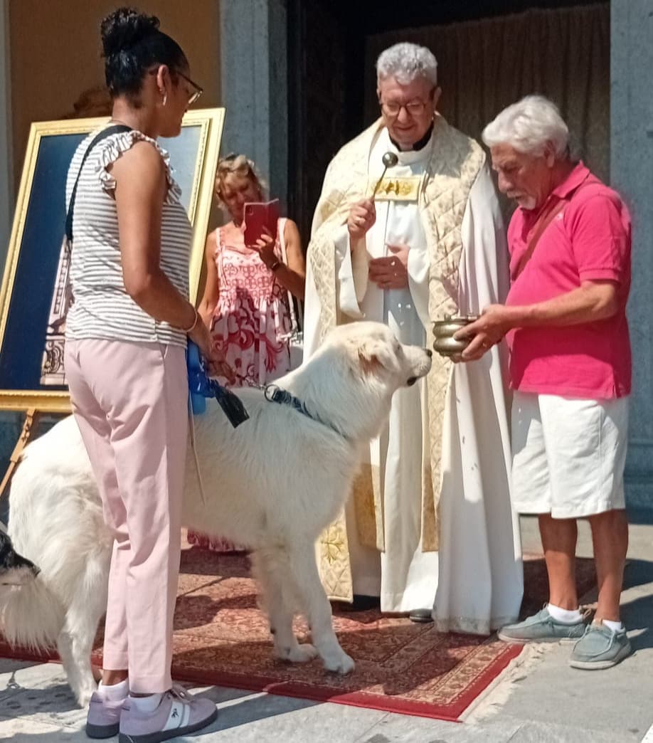 Cossato, San Rocco tra festa e siccità: "Preghiamo anche per la pioggia" FOTO e VIDEO