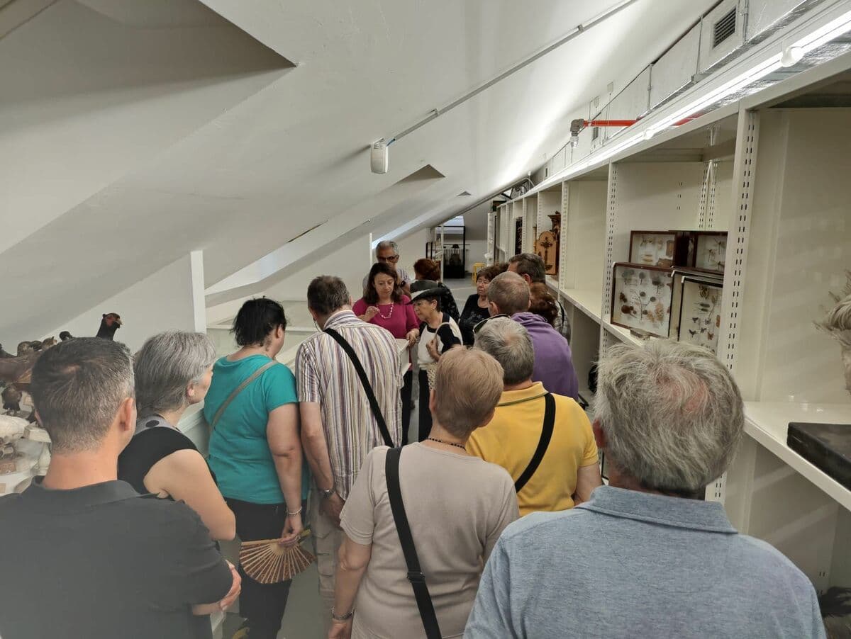 Il Museo Civico di Cuneo apre le porte dei depositi museali alla scoperta dei reperti non esposti