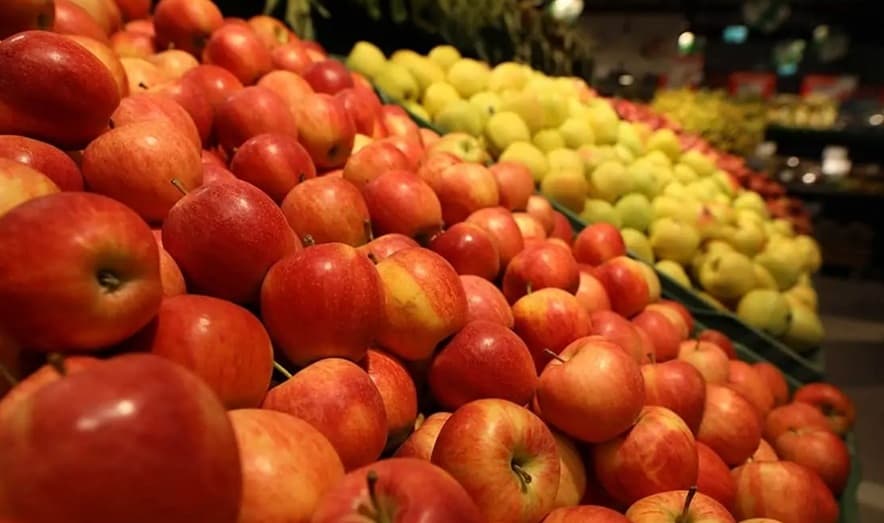 "Tea e Omnibus food and feed: dall’Europa segnali positivi, come richiesto da tempo da Fratelli d’Italia e dal governo Meloni"