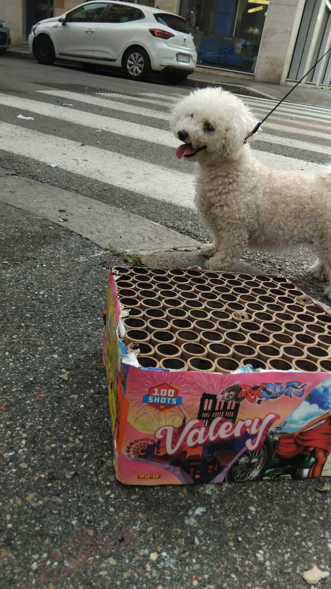 Dopo San Giovanni uno “show” pirotecnico anche a Mirafiori: "Avvolti dalla nebbia dei fuochi"