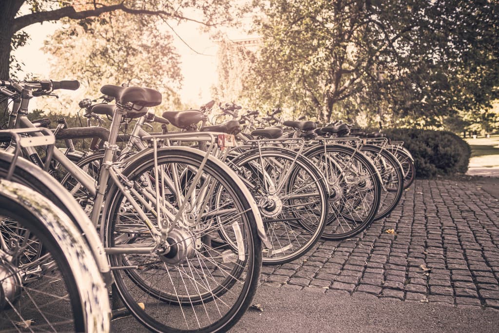 Da Torino a Roma in bicicletta per portare al Governo le proposte delle Comunità Energetiche