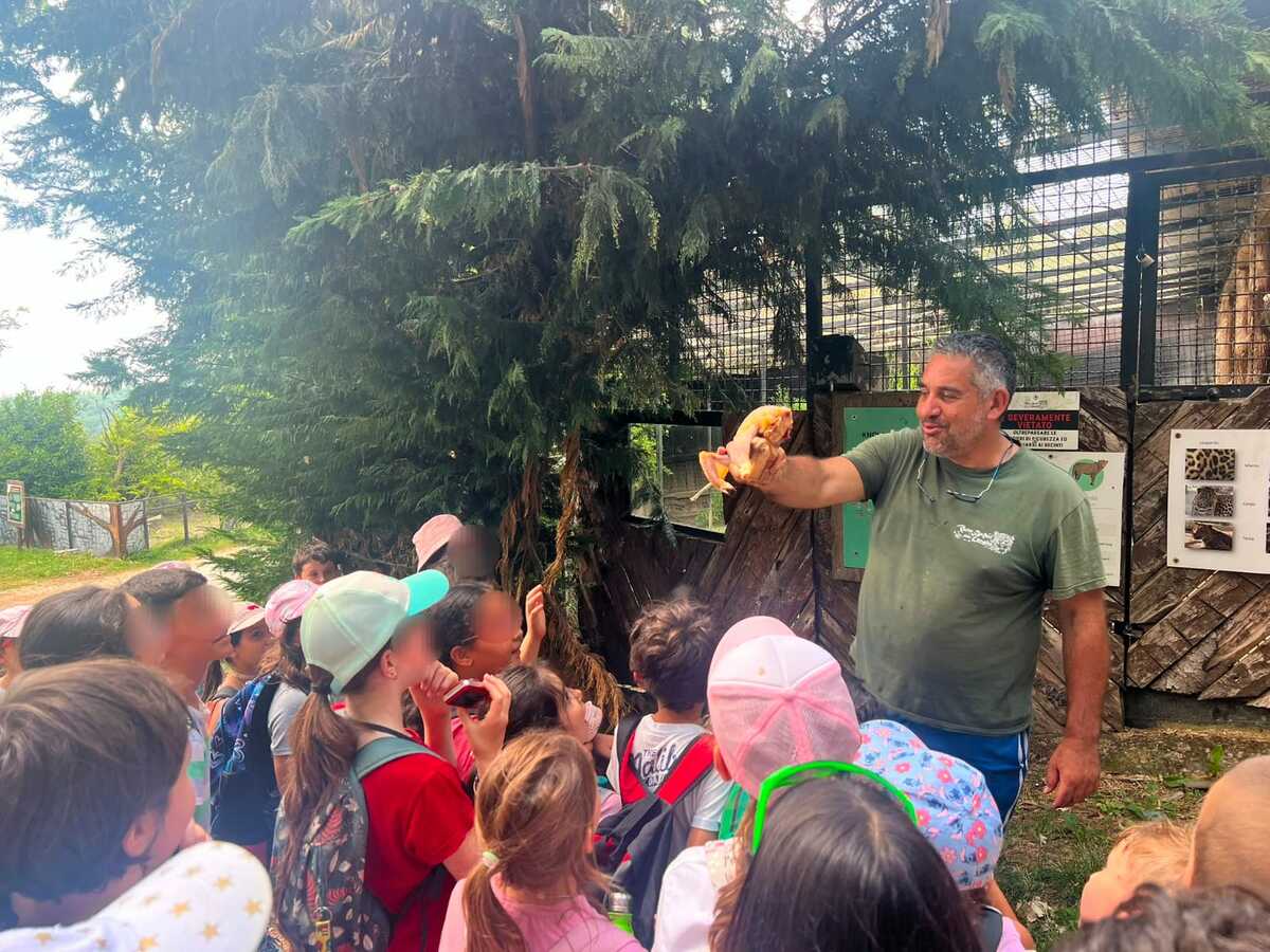 Piano estate della Scuola Primaria di Sale delle Langhe: una giornata di scoperte e meraviglia al Parco Safari di Murazzano