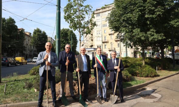 Torino punta sul verde: in tre anni saranno piantati 2.800 nuovi alberi