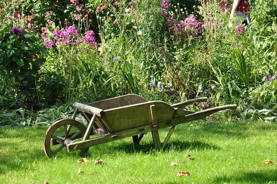 Al via il progetto "Ceva": l’inclusione sociale e il benessere si coltivano tra le piante di un nuovo giardino