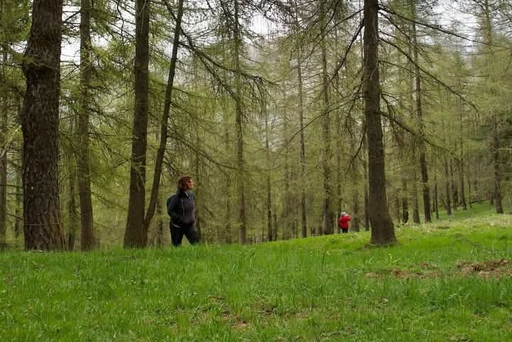 Al via il “laboratorio di terapia forestale” per giovani in valle Maira