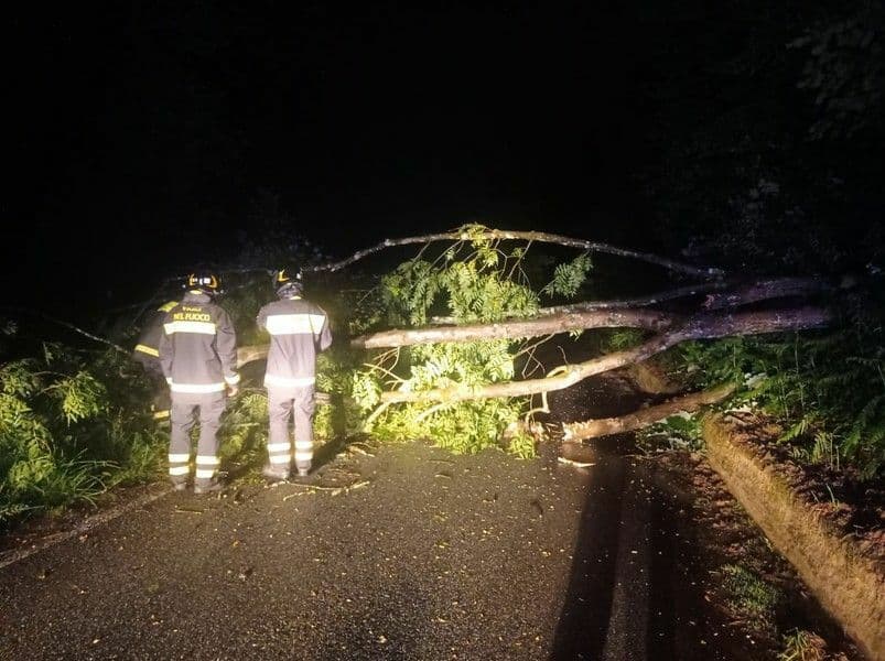 Maltempo, forti raffiche di vento in serata: piante a terra e strade interrotte nel Biellese