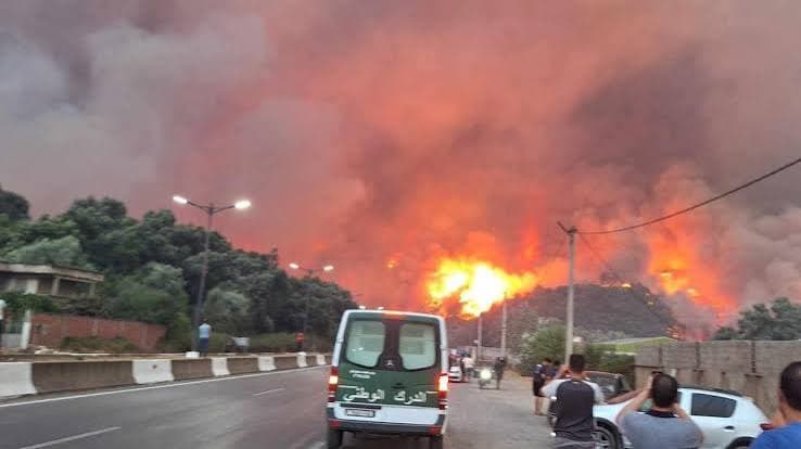 Algeria, incendi forestali devastanti: almeno 69 vittime e molti feriti