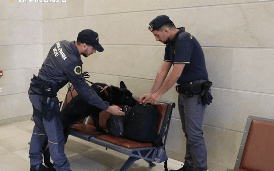 Aumentano i controlli eseguiti alla dogana nel Vco: 1.800 interventi, sequestrati orologi e minerali